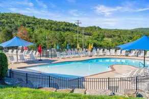 Lodge! Table Rock Lake! Near Branson Amenities! - Image 4