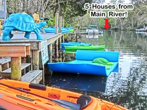 Fire Pit, Kayaks, Swim Mat - Weeki Wachee River - Image 3