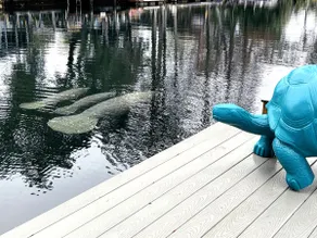 Fire Pit, Kayaks, Swim Mat - Weeki Wachee River - Image 5