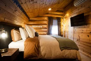Family Cabin - Indoor Hot Tub, Rec Room, Rock Wall - Image 4