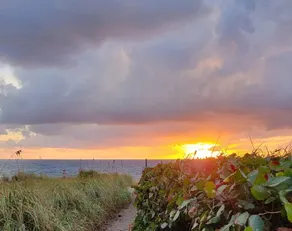 Walk to Ocean! Heated Pool, Valet, Ample Amenities - Image 5