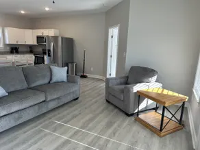 The Frog Suite - Image 5
