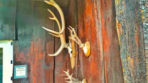 Finnish cabin at Greta's - Image 2