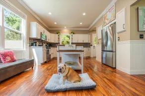 30% off weekdays! 6BRD | Downtown | Dogs Welcome - Image 2