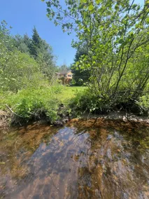 Spa - sauna - river - Mont-Tremblant region - Image 4