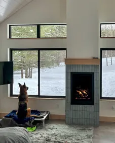 Michi's Base Camp: Your Dog-Friendly Escape Begins - Image 5