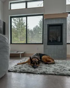 Michi's Base Camp: Your Dog-Friendly Escape Begins - Image 2