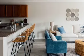 Spacious 3 Bed Condo Near ETSU - Image 3