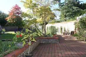 Historic Surrey Hills Cottage 30 mins from London - Image 4