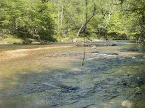 Cove Creek Preserve Hilltop Home - Image 4