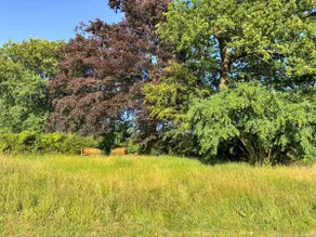 Lavender Cottage -UK49209 - Image 3