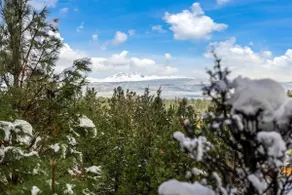 New! Old Mill Lookout–Mountain Views, Fireplace - Image 3