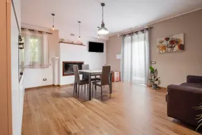 Mimosa - Image 3