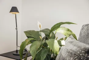 Newly renovated apartment Theo the Hirschentenne - Image 3