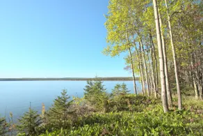 Tiny Cabin on Lake Superior | Herbster Bark Point - Image 3