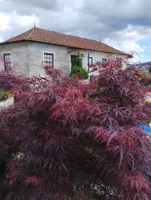 3HOUSE Sol na Eira em Paredes - Image 5
