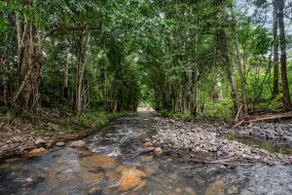 Bridge Creek Retreat - Image 5