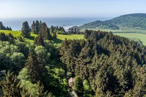 Secluded, near Redwood National Park 3 bdm - Image 2