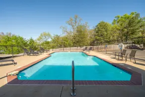 The Oasis on Lake Hamilton with Pool - Image 3