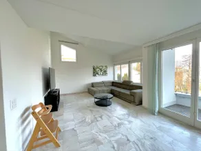 5BR Villa Near Lucerne | Private Garden - Image 4