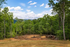 Shenandoah Luxury Mountain Stay in Stanardsville - Image 5