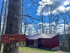 Dwight's Cabin / RRG / Open Concept / Views - Image 3