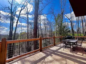 Dwight's Cabin / RRG / Open Concept / Views - Image 4