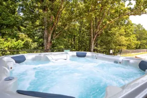 Private Pool, Pickle/bball, Close to Big Cedar - Image 3