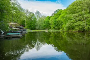 Lakefront-nestled in Nirvana - Image 5