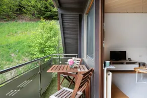 Glashütte vacation home - Image 2