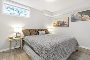 Peaceful Forest Suite with Lake Views and Hiking! - Image 2