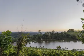 Retreat with Private Lake in the Valley of the Vineyards - Image 3