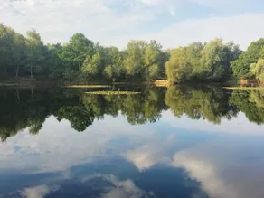 Private Fishing Lodge w Lake Norfolk Retreat - Image 4