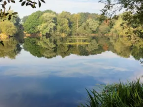 Private Fishing Lodge w Lake Norfolk Retreat - Image 3