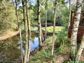 Private Fishing Lodge w Lake Norfolk Retreat - Image 5