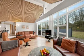 Lovely Holiday Home With Large Outdoor Spa, Indoor Spa And Sauna Close To Ringkøbing Fjord - Image 5