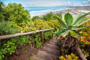 Tutu's Surf House - beach path! - Image 5