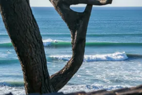 Tutu's Surf House - beach path! - Image 2