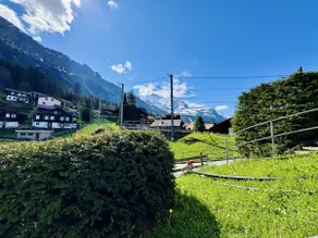 Hotel Edelweiss - Image 4