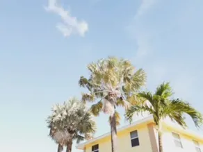 Haven - Walk to the Beach, Free Bikes, and Pool! - Image 3