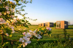 Anjewiel | Tiny House near Leeuwarden in nature - Image 5