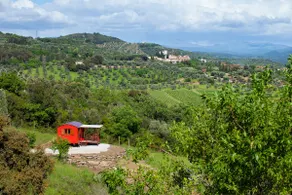 Red Fox Gypsy Caravan - Image 3