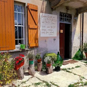 Pet-Friendly Vacation Home among the Vineyards - Image 2
