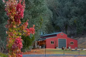 High Country Log Home Near Lake Eildon & Mt Buller - Image 4