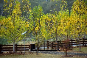 High Country Log Home Near Lake Eildon & Mt Buller - Image 3