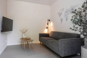 Holiday home with air conditioning in Oostkapelle - Image 4
