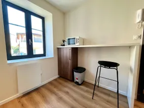 Nancy Pépinière Renovated and equipped apartment - Image 5