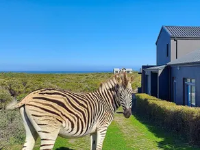 Romansbaai Beach House - Image 3