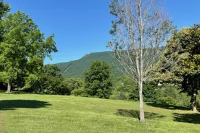 Free Ruby Falls Ticket & More -mountain view - Image 5