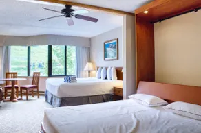 Stellar Location Direct view of Crested Butte Mountain Hot Tub Heated Pool Steam Room Gym - Image 5